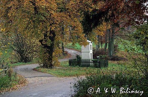 kapliczka przydrożna koło Tuchomia, Ziemia Bytowska, Kaszuby