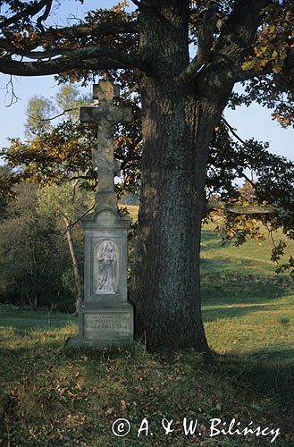 kapliczka, krzyż przydrożny, Czarne, Beskid Niski