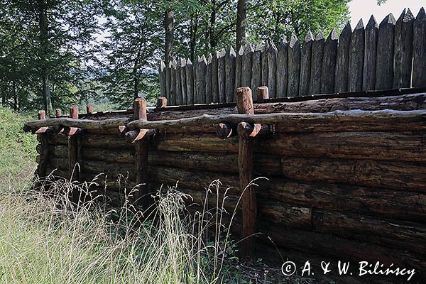 Karpacka Troja muzeum, skansen