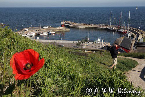 Port Kåseberga. Szwecja, Sweden fot A&W Bilińscy, bank zdjęć