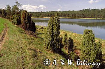 jezioro Kamieniczno Kaszuby