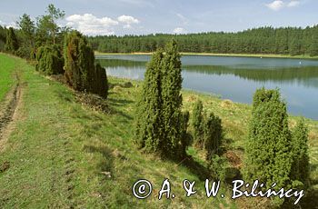 jezioro Kamieniczno Kaszuby