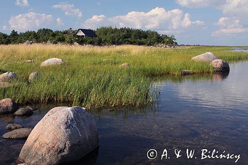 wyspa Kihnu, Estonia Kihnu Island, Estonia