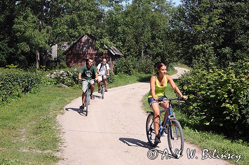 ścieżka rowerowa, wyspa Kihnu, Estonia, bicycle road, Kihnu Island, Estonia