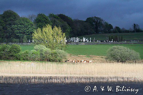 cmentarz nad jeziorem Lough Kilglass, rejon Górnej Shannon, Irlandia