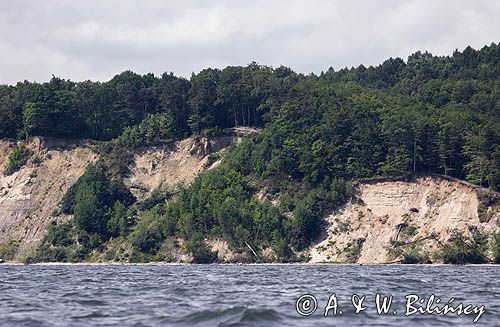 Klif Orłowski, Orłowo - Gdynia, Zatoka Gdańska