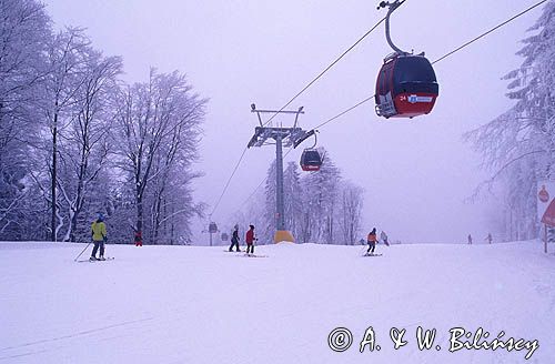 kolej gondolowa na Jaworzynę Krynicką