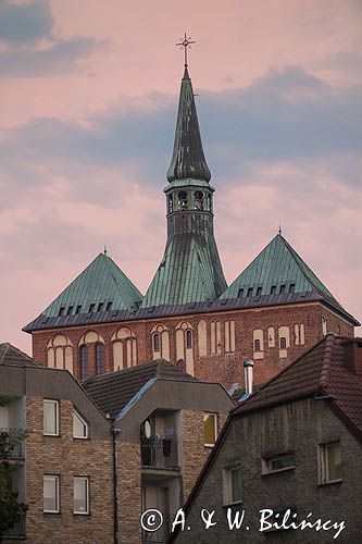 Kołobrzeg, Bazylika konkatedralna Wniebowzięcia Najświętszej Maryi Panny w Kołobrzegu