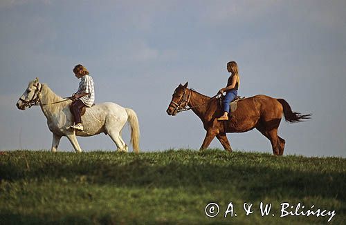 Ludzie na koniach w Bieszczadach, Polska