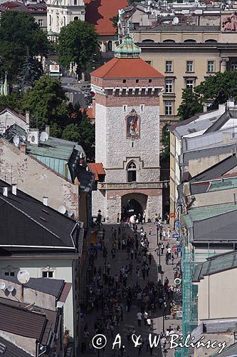 Cracow widok z Wieży Kościoła Mariackiego, Brama Floriańska