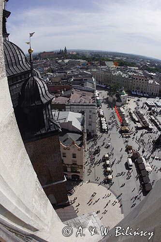 Cracow widok z Wieży Kościoła Mariackiego, Rynek Starego Miasta