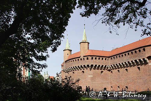 Cracow Barbakan, Stare Miasto