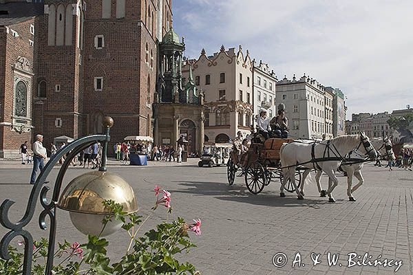 Kraków, Rynek Starego Miasta, dorożka