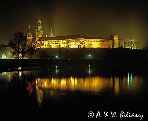 Cracow Wawel zamek