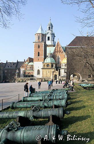 Cracow Wawel Katedra armaty