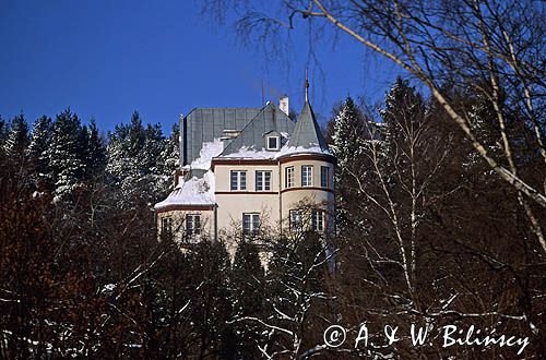 Krynica Górska, Zdrój