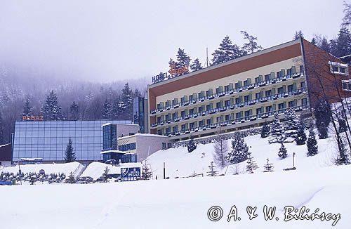 Krynica Górska Hotel Pegaz w dzielnicy Czarny Potok