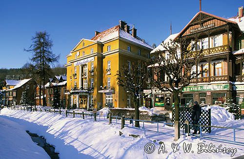 Krynica Górska, willa Białej Róży, Małopolanka