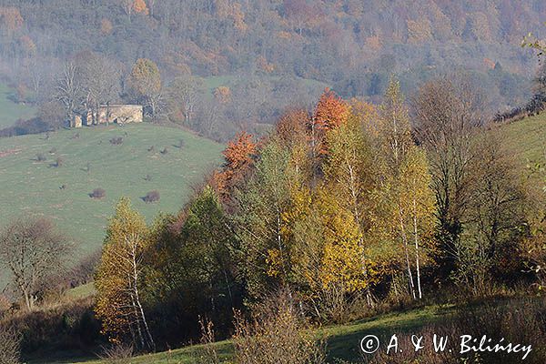 Krywe ruiny cerkwi, Park Krajobrazowy Doliny Sanu, Bieszczady