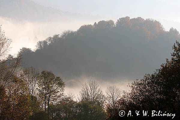 Park Krajobrazowy Doliny Sanu, Bieszczady