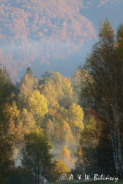 Park Krajobrazowy Doliny Sanu, Bieszczady