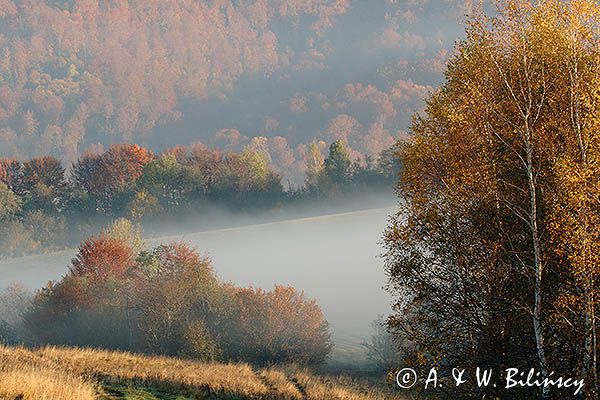 Park Krajobrazowy Doliny Sanu, Bieszczady