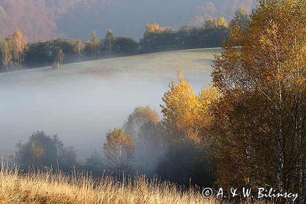 Park Krajobrazowy Doliny Sanu, Bieszczady