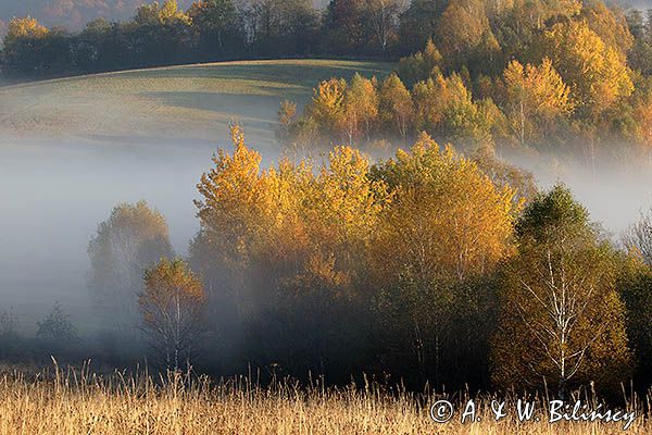 Park Krajobrazowy Doliny Sanu, Bieszczady