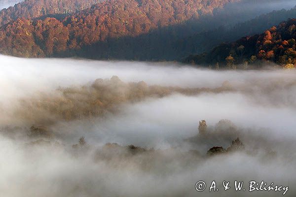 Park Krajobrazowy Doliny Sanu, Bieszczady