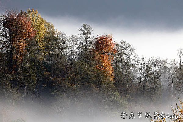 Park Krajobrazowy Doliny Sanu, Bieszczady