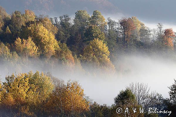 Park Krajobrazowy Doliny Sanu, Bieszczady