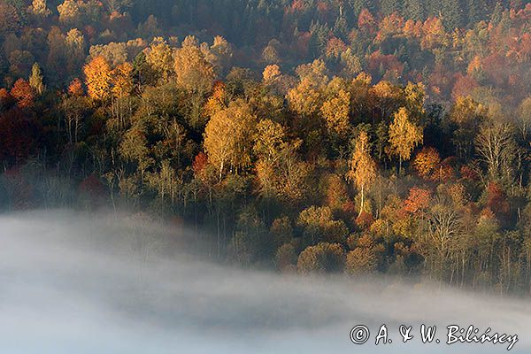 Park Krajobrazowy Doliny Sanu, Bieszczady