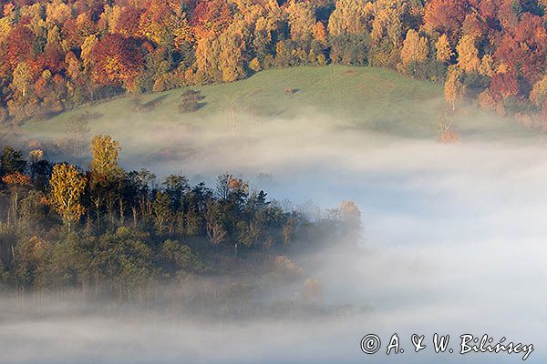 Park Krajobrazowy Doliny Sanu, Bieszczady