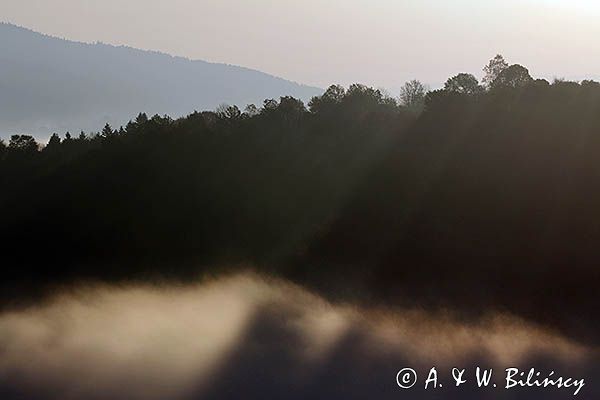 Poranna mgła, Park Krajobrazowy Doliny Sanu, Bieszczady