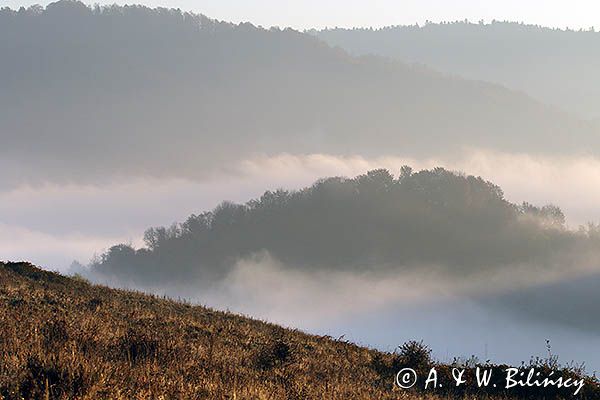 Park Krajobrazowy Doliny Sanu, Bieszczady