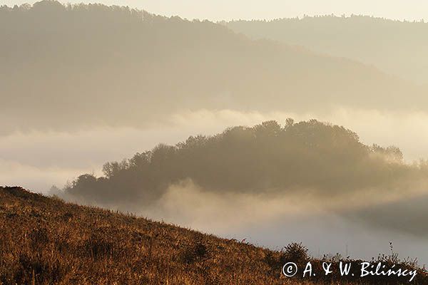 Park Krajobrazowy Doliny Sanu, Bieszczady