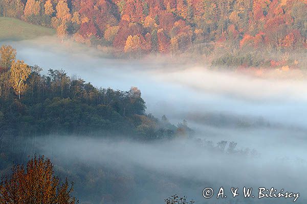 Park Krajobrazowy Doliny Sanu, Bieszczady