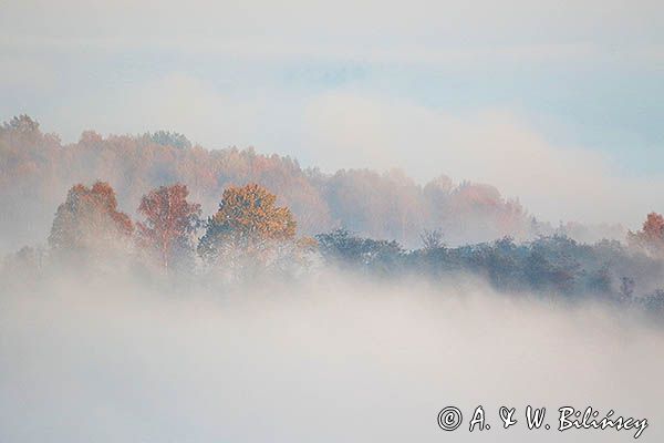 Park Krajobrazowy Doliny Sanu, Bieszczady