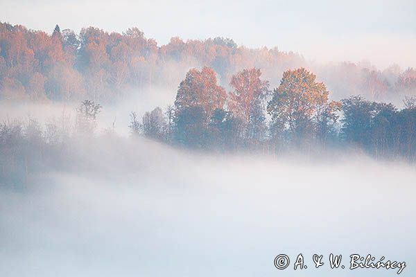 Park Krajobrazowy Doliny Sanu, Bieszczady