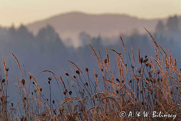 Park Krajobrazowy Doliny Sanu, Bieszczady