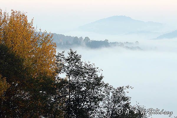 Park Krajobrazowy Doliny Sanu, Bieszczady