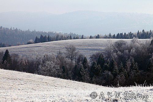 szadzie, Krywka, Bieszczady