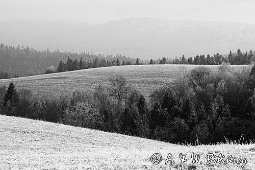 szadzie, Krywka, Bieszczady