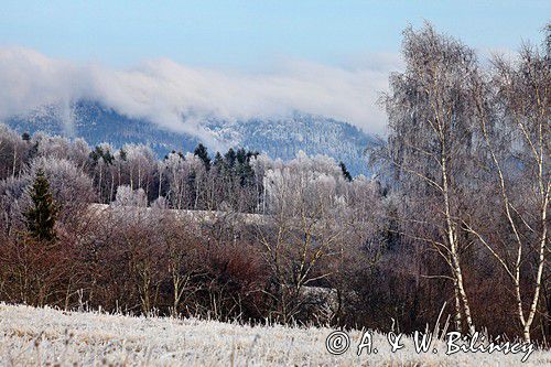 szadzie, Krywka, Bieszczady