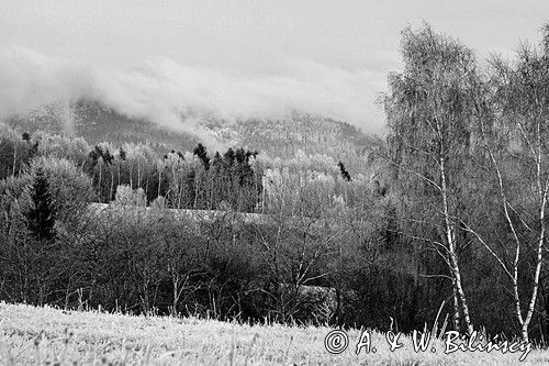 szadzie, Krywka, Bieszczady