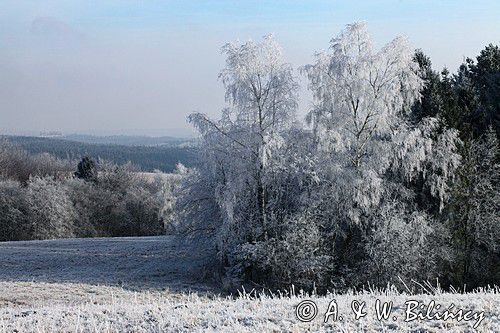 szadzie, Krywka, Bieszczady