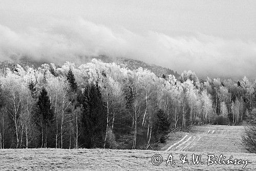 szadzie, Krywka, Bieszczady