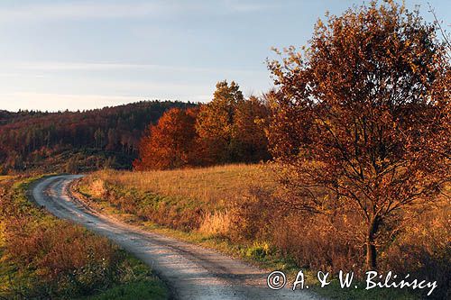 widok ze wzgórza Krzywe Dział, gmina Dydnia, Pogórze Dynowskie