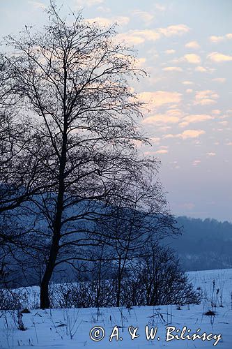 widok ze wzgórza Krzywe Dział, gmina Dydnia, Pogórze Dynowskie