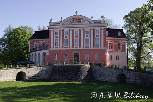 Kurozwęki, zamek - pałac